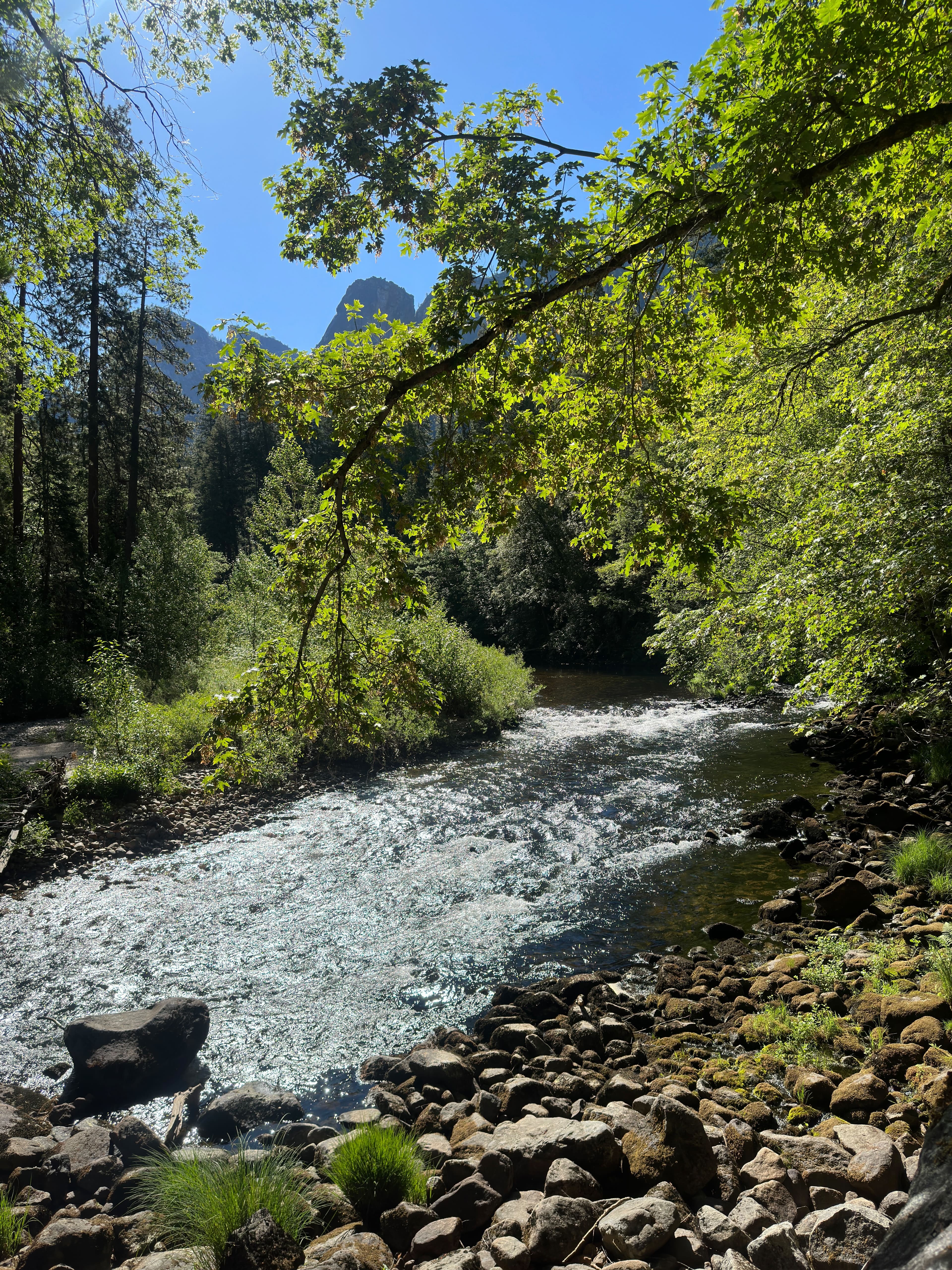 Nature landscape